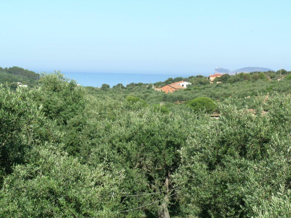 Villa La Scaletta Альгеро Екстер'єр фото